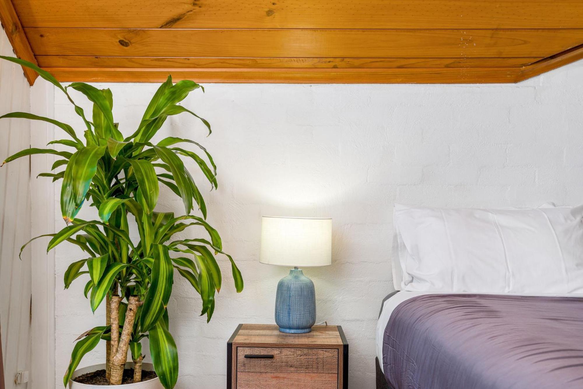 Aquarius Backpackers Resort Byron Bay Esterno foto